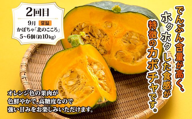 月形町 人気の厳選 定期便 3回お届け メロン 赤肉 スイカ かぼちゃ 南瓜 果物 フルーツ 野菜 旬 季節 送料無料