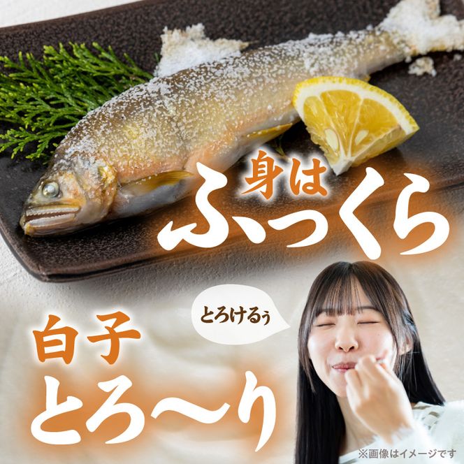 【冷凍】白子鮎約2kg N070-YB358-2