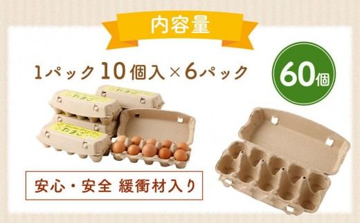 【食べチョクアワード2025 畜産部門 1位の日本一のたまご】単なる平飼いではない究極の卵『わたしたちのぷらいどたまご』6パック（60個）セット