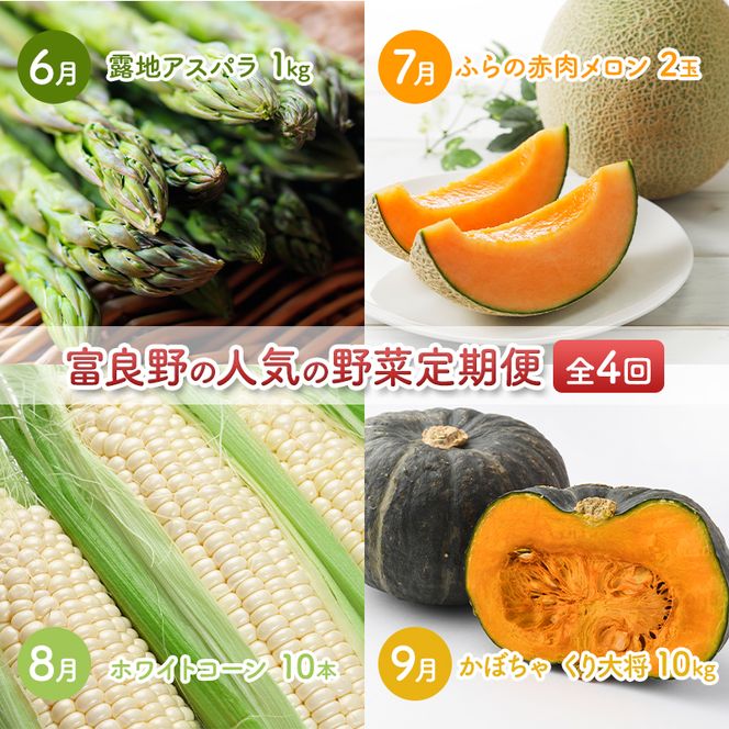 2027年夏～発送 富良野の人気の野菜 定期便 年4回  北海道 富良野産 とうもろこし メロン かぼちゃ 野菜 ふらの とうきび アスパラ かぼちゃ 美味しい 甘い