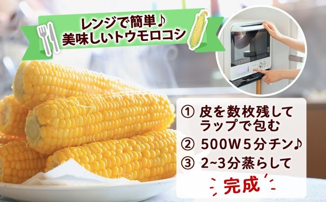 【 2026年 出荷 】 北海道産 朝もぎ イエロー とうもろこし 味来 みらい 2Lサイズ 26本 約10kg 夏野菜 とうきび 新鮮 野菜 トウモロコシ 甘い ギフト 産地直送 コーン 産直 グリーンアースファーム