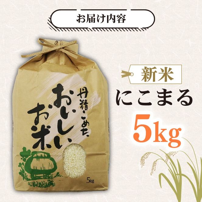米 5kg 新米 にこまる 令和7年度産 食味ランキング特A品種 もっちり 大粒 静岡県 藤枝市産 静岡のお米 精米 白米 ご飯 ごはん 産地直送 静岡県 藤枝市