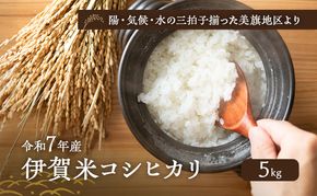 陽・気候・水の三拍子揃った美旗地区より みはたM'sファーム 令和7年産 伊賀米コシヒカリ 5kg 3年連続 特A 米 こしひかり ご飯 ごはん 白米 精米 三重県 名張市