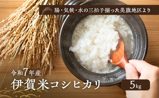 陽・気候・水の三拍子揃った美旗地区より みはたM'sファーム 令和7年産 伊賀米コシヒカリ 5kg 3年連続 特A 米 こしひかり ご飯 ごはん 白米 精米 三重県 名張市