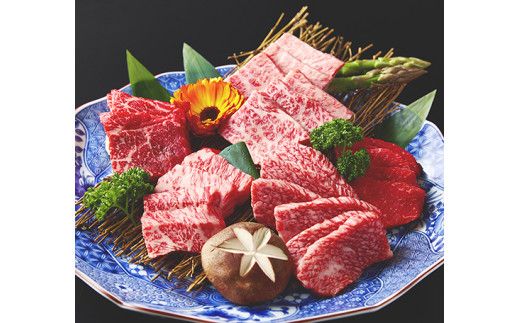 近江牛食べつくし定期便　６回　焼肉　すきしゃぶ　ステーキ【FO17W】