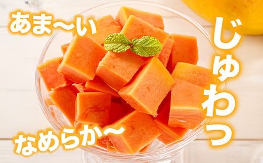 フルーツパパイヤ４kg 【 パパイヤ フルーツパパイヤ 果物 くだもの フルーツ 果実 国産 沖縄県 沖縄 石垣 石垣島 石垣市 】ZH-14