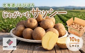 じゃがいも「サッシー」Lサイズ・10kg BHRG035