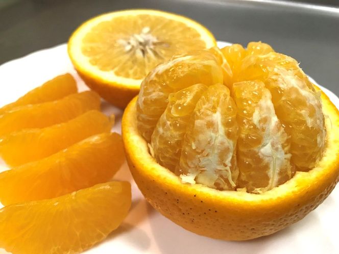 ちょっと 傷あり 木成完熟 紅はっさく 3L × 6玉 または 2L × 7玉 サイズ 化粧箱【2026年4月上旬～発送】 	BS783