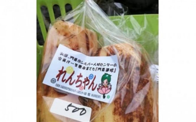 門真れんこん『れんちゃん』2.0kg【門真れんこん　れんこん　もっちりとした食感　河内レンコン　幻のレンコン　甘みが強い 鉄分を多く含む粘土質の土壌 大阪府 門真市 】 272230_BF006