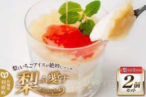 梨ふ愛す 梨ベリー 230g×2個セット ラクトアイス|06_ccp-070201