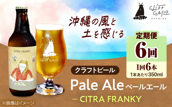 【全6回定期便】-CLIFF BEER- CITRA FRANKY  (ペールエール) 6本入り ビール クラフトビール 350ml 飲み比べ ギフト 沖縄市 / 株式会社クリフクラフト[BCDS011]