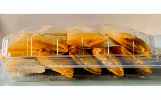 体にうれしい健康食材「食用サボテン」のサボイカ春巻き 10本入り（1本60g×10本）