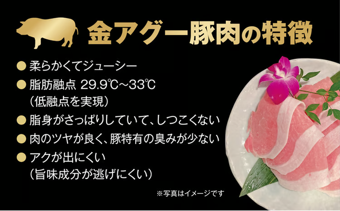 金アグー焼売　2Pセット