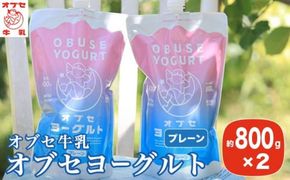 オブセヨーグルト (プレーン) 2個セット［オブセ牛乳］ヨーグルト 乳製品 食品  お取り寄せ グルメ 生乳100% 朝食 スイーツ おやつ 冷蔵 長野県小布施町産［G-41］