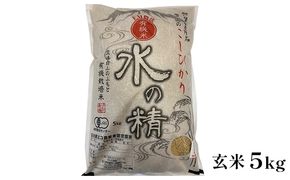有機米こしひかり「水の精」玄米5kg お米 コシヒカリ 石川県産 