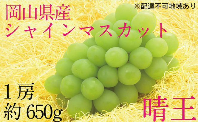 ぶどう 2026年 先行予約 シャイン マスカット 晴王 1房 約650g  ブドウ 葡萄  岡山県産 国産 フルーツ 果物 ギフト デザート 食後 酸味が少ない 産地直送 