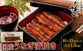 国産うなぎ  蒲焼き 10～15尾セット(合計1.5kg) タレ付き 国産 うなぎ ウナギ 鰻 蒲焼 かば焼き セット 惣菜 冷凍