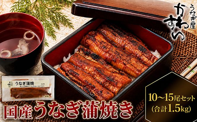 国産うなぎ  蒲焼き 10～15尾セット(合計1.5kg) タレ付き 国産 うなぎ ウナギ 鰻 蒲焼 かば焼き セット 惣菜 冷凍