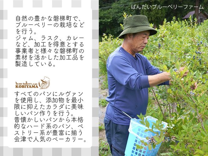 【クリスマスまでに発送】【予約】ブルーベリー シュトーレン （小） 250g前後×2個　※令和8年12月17日より発送
