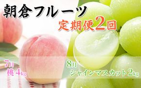 限定 数量 定期便 2回 桃 シャインマスカット 2026年 発送 フルーツ 夏のフルーツ定期便 果物 もも モモ マスカット デザート 朝倉 ※配送不可 離島