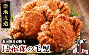 【訳あり・数量限定】厳冬が旬 北海道昆布森の 1kg 毛蟹 3～4尾 ｜ ボイル済み 下茹で 冷凍 入手困難 北海道産 毛ガニ ケガニ けがに カニ味噌 希少 スピード発送 すぐ届く 魚介類 高級 セット 旬 釜茹で すぐ発送 北海道 釧路町 釧路超 特産品　121-1082-44
