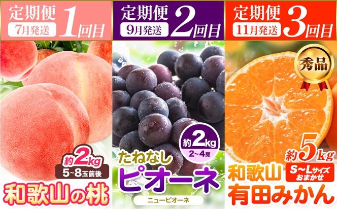 人気フルーツ全3回（7月・9月・11月）定期便 厳選館《7月上旬-11月末頃出荷》和歌山県 日高川町 果物 フルーツ 和歌山の 桃 種なし ピオーネ 有田 みかん 送料無料【配送不可地域あり】---wshg_tmttei3_26_43000_7911y3---