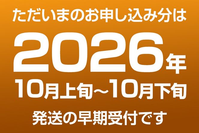 【先行受付】2026年10月上旬～下旬発送 男鹿梨「大将梨園」南水 約2.8kg 6～8玉 3～5L 梨 秋田県 男鹿市|23_tsn-020301