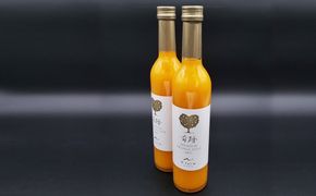 Nファーム 奇跡の有田みかんジュース 500ml × 2本 化粧箱入り FM01