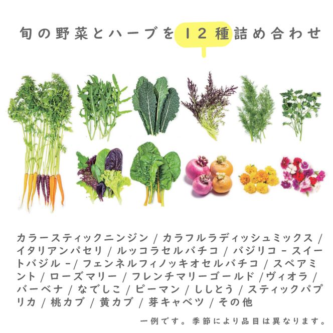 フレッシュグループ淡路島彩り野菜と香るハーブセット　野菜