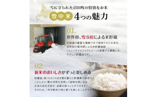 令和8年産【定期便4ヶ月】ゆめぴりか 無洗米 20kg（5kg×4袋） 【12月発送】開始 雪冷気 籾貯蔵 雪中米 北海道 nr-3489
