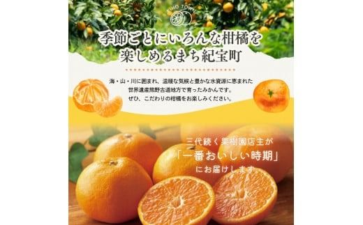 【先行予約】旬の柑橘 詰め合わせ セット 石本果樹園 店主おすすめの柑橘セットをお届け 【2027年1月～4月中に順次発送予定】 / フルーツ 果物 くだもの 柑橘 フルーツセット くだものセット みかん ミカン 温州みかん 不知火 せとか セミノール ポンカン カラマンダリン 甘夏 清見 オレンジ 産地直送 旬 人気 おすすめ 詰め合わせ お楽しみ三重県 紀宝町【min011】