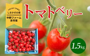 〔先行受付〕しおかぜの畑中野ファーム余市産トマトベリー1.5kg(2026年初夏発送)　ミニトマト_Y037-0349
