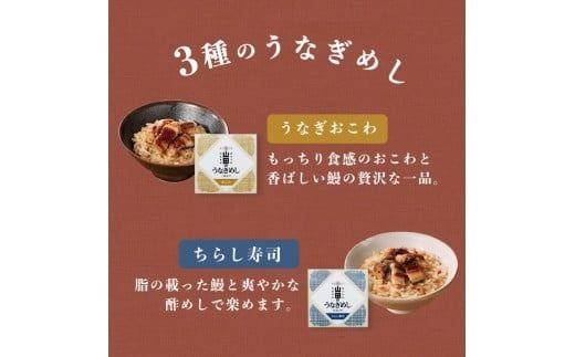 鹿児島県産うなぎ使用！山田のうなぎめし1箱(6食入) a3-237