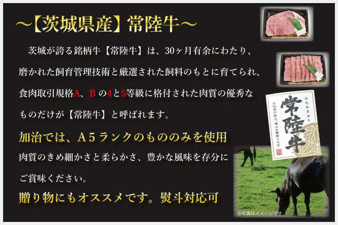 DT-49【常陸牛A5ランク】カレー３袋＋【美明豚】カレー３袋
