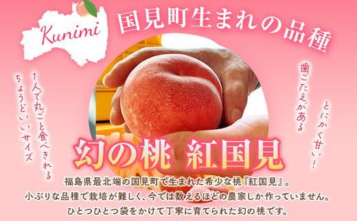 ◆2026年夏発送◆ 紅国見 ～産直・桃・約1.5kg～ ※離島への配送不可 ※2026年7月上旬～7月下旬頃に順次発送予定｜桃 もも モモ フルーツ 果物 ふくしま 福島 国見町 詰め合わせ