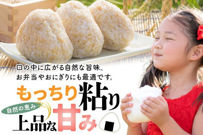 【令和８年産 新米予約】あきたこまち 玄米 5kg 秋田県北秋田市産 [米 こめ 令和８年 2026年 新米 秋田県 北秋田市 あきたこまち 白米 美味しい おいしい]|fjne-020501