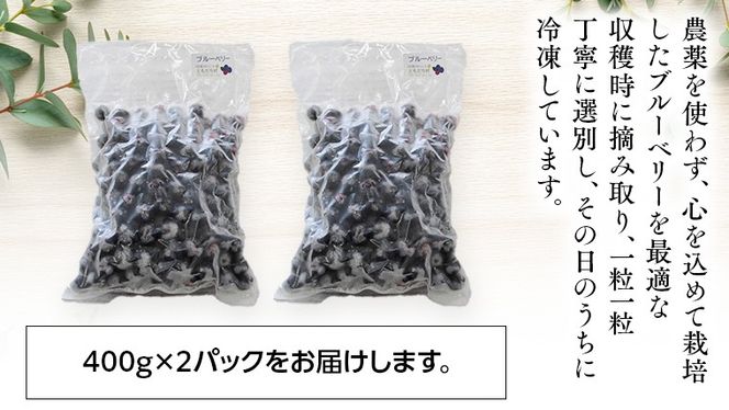 y錧΂݂炢sz΂݂炢s Y Ⓚ u[x[ 800g ( 400g ×2pbN ) Y _򖳎gp Ɣ_ ʕ AJpx t[c  Ⓚu[x[ t[Y mDG02-NTn