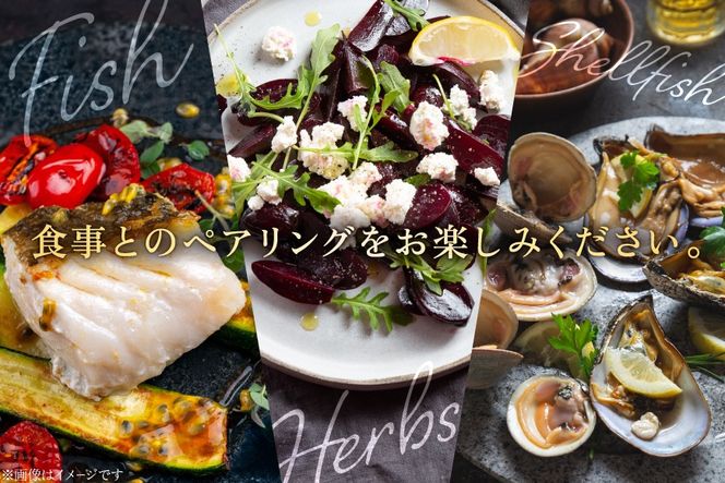 ミード 蜂蜜酒 TRUE HEART 375ml 1本 [WICKED WAY MEAD 長野県 池田町 48110852] 酒 お酒 はちみつ 蜂蜜 ハチミツ
