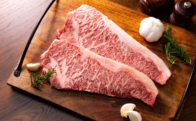 定期便 6ヶ月 牛肉 サーロイン ステーキ 合計1000g 博多和牛 A4～A5（250g×4枚）セット 6回 配送不可：離島 