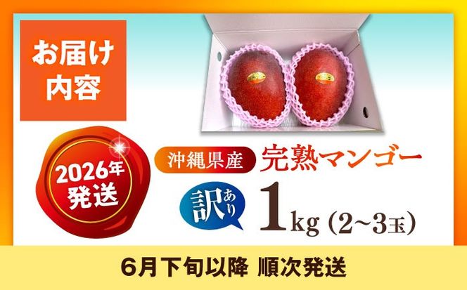 【優秀賞受賞】沖縄県産 完熟マンゴー 訳アリ 1kg (2〜3玉) マンゴー 沖縄 果物 フルーツ ギフト 沖縄市 / MAIFARM[BCAN003]