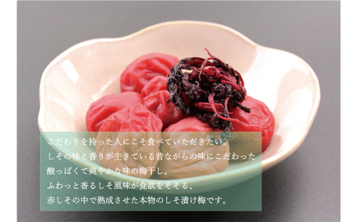 【贈答用】しそ風味梅干し 1kg【化粧箱タイプ】【inm201C】