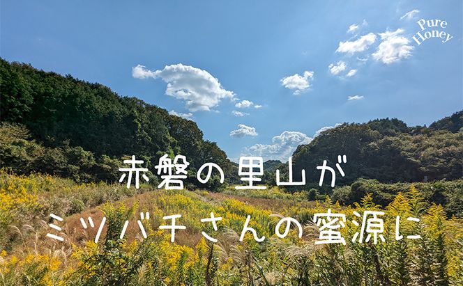 はちみつ 蓮華蜂蜜 1個300g 2個入り ハチミツ 蜂蜜 れんげ 天然 非加熱 岡山 赤磐市