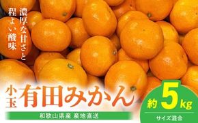 【2026年先行予約】【産地直送】和歌山県産 有田みかん 小玉 5kg_BL6173