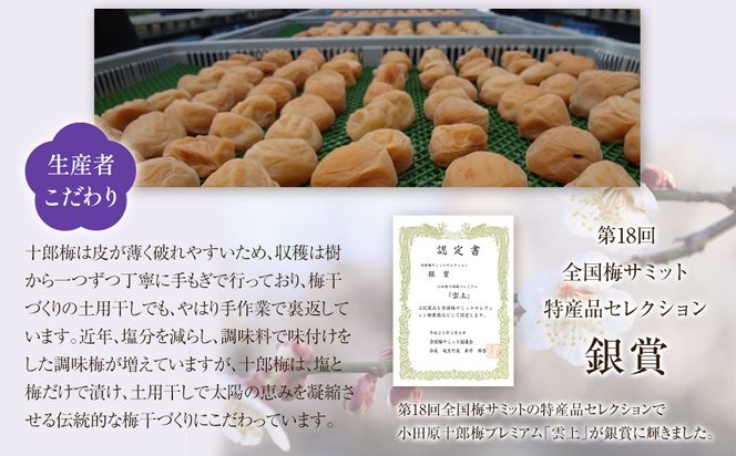 【小田原のブランド梅の大粒梅干し】雲上５個入り【 梅干し 神奈川県 小田原市 】 142069_CW083
