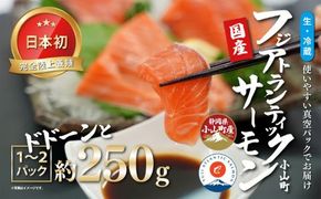 日本初 完全陸上養殖 静岡県小山町産 フジアトランティックサーモン 生 ・冷蔵 1～2P 約250g