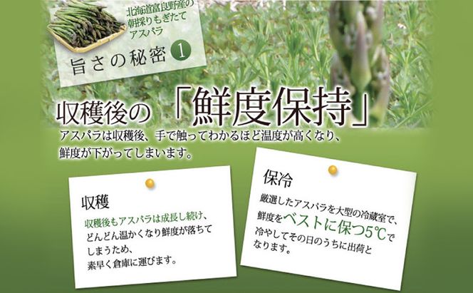 【2026年春発送】極太 グリーンアスパラ 3Lサイズ 1kg (スイートベジタブルファクトリー)