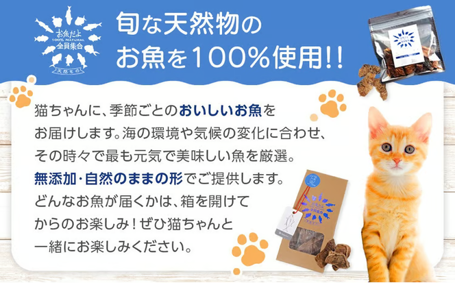 お魚だよ全員集合　季節のアソートセット 5,000円セット　ネコちゃん用｜ペット おやつ 猫 ペットフード