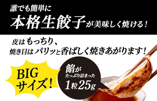 005A730-1 【訳アリ】泉州キャベツ餃子80粒【射手矢農園×李朝園 生餃子 手作り ぎょうざ ギョーザ 惣菜 冷凍 焼くだけ 簡単調理 フードロス削減】