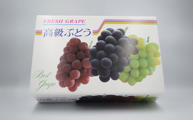 【2025発送分】【フルーツ王国山梨】３色ぶどう食べ比べセット（巨峰・シャインマスカット・スカーレット 各１房・約2.15kg）　ぶどう 葡萄 ブドウ マスカット シャイン 赤ぶどう 黒ぶどう くだもの フルーツ 果物 食べ比べ お試し 山梨 やまなし 富士川町