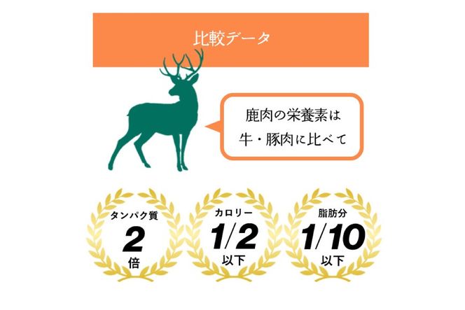 ドッグフード 無添加 FUJIDOG ブロッコリー入り鹿肉チップス 100g [FUJIDOG 山梨県 韮崎市 20745302] 高タンパク 低脂肪 10%以下 低脂質 犬のおやつ 犬の餌 国産 餌 エサ